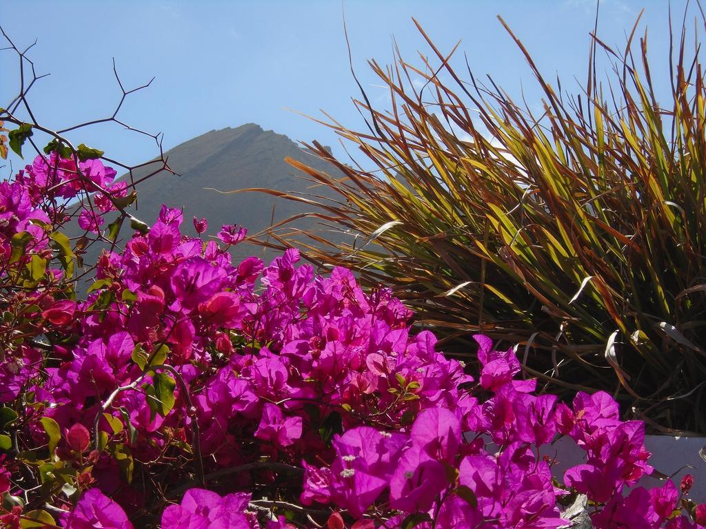 El Cortijo Eco Finca Hotel Ye Kültér fotó
