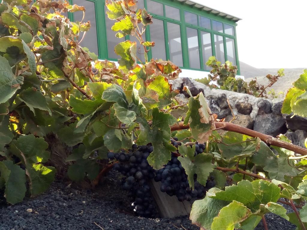 El Cortijo Eco Finca Hotel Ye Kültér fotó
